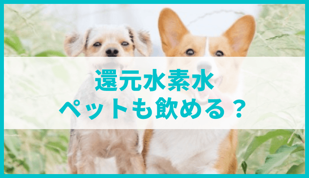 還元水、ペットも飲める？